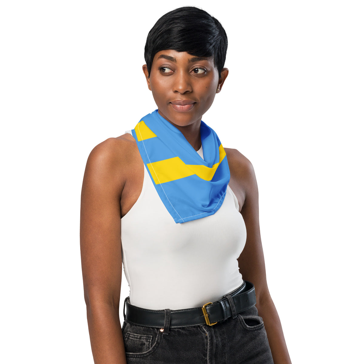 Aruba Flag Bandana