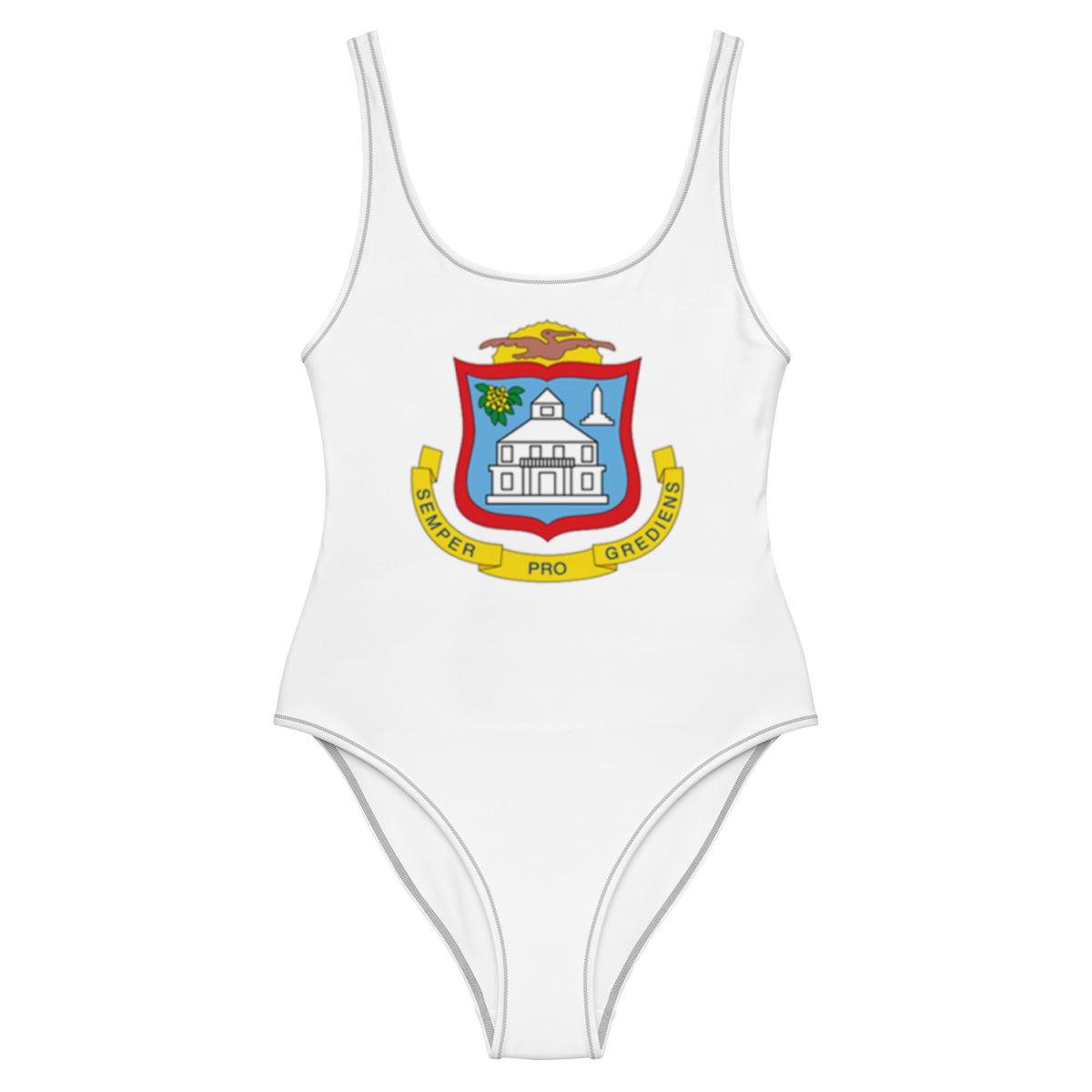 Sint Maarten Patriotic One-Piece Swimsuit