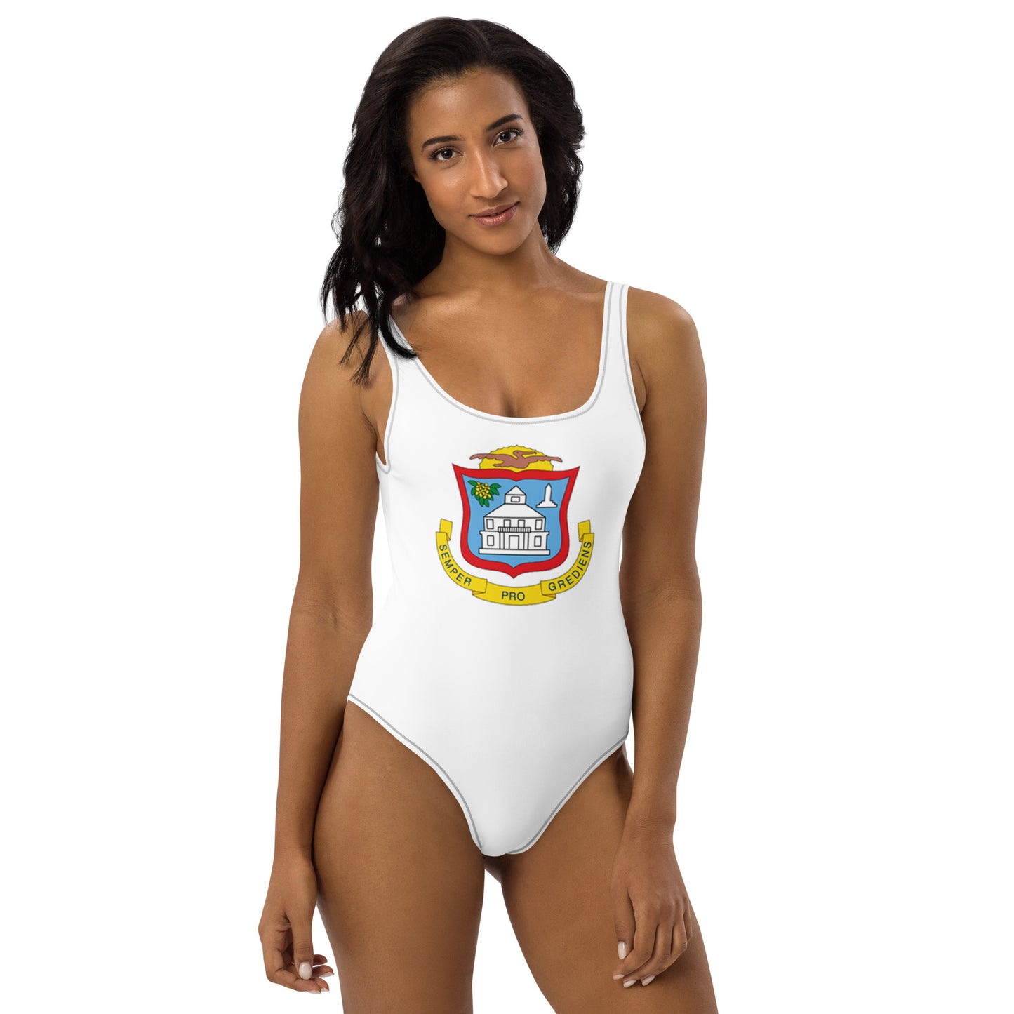 Sint Maarten Patriotic One-Piece Swimsuit