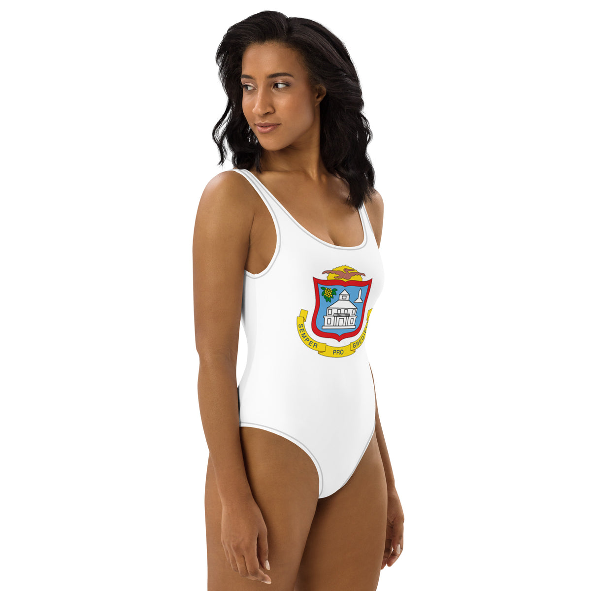Sint Maarten Patriotic One-Piece Swimsuit