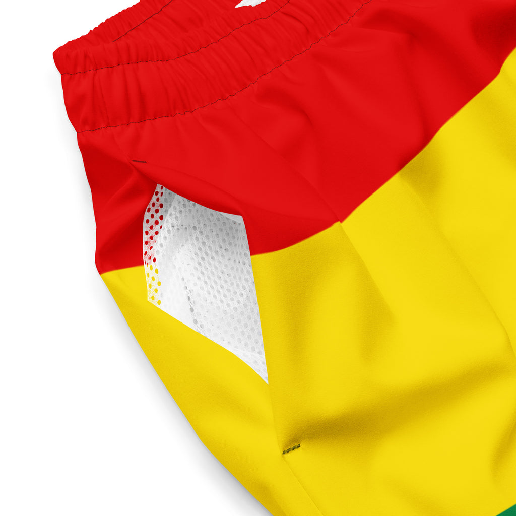 Jamaica Men's Swim Trunks – Rasta Color Block